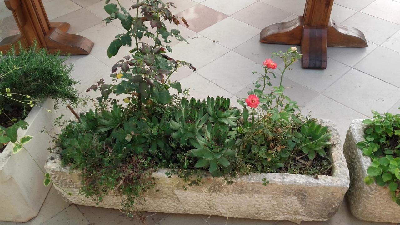 Villa Mateja Donji Okrug  Zewnętrze zdjęcie