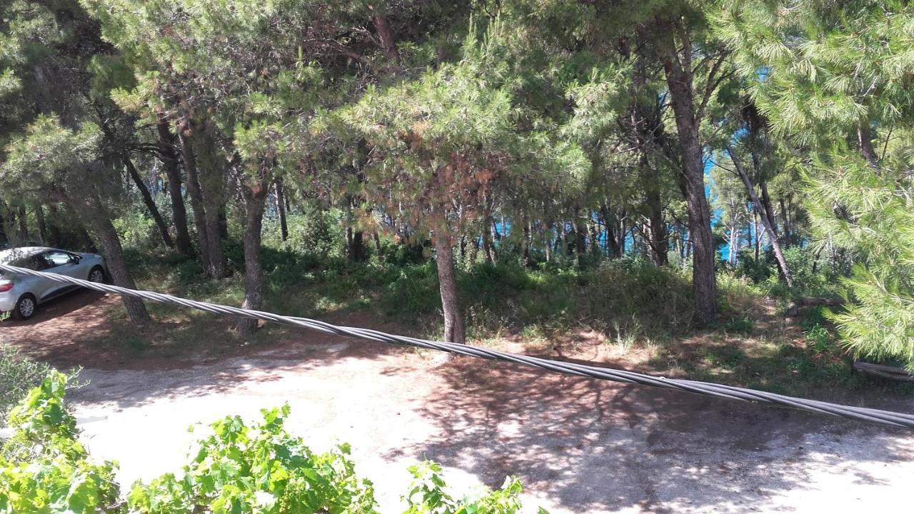 Villa Mateja Donji Okrug  Zewnętrze zdjęcie