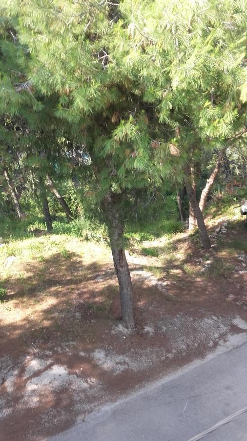 Villa Mateja Donji Okrug  Zewnętrze zdjęcie